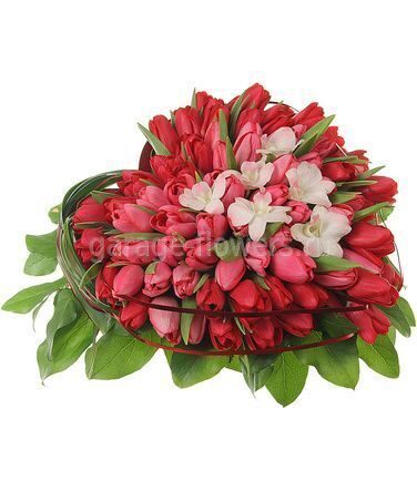 Сердце из тюльпанов